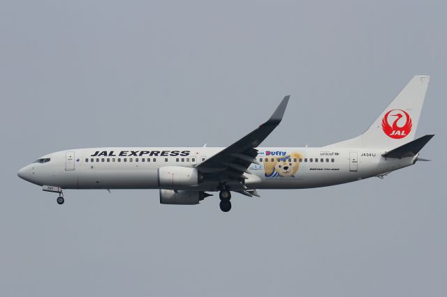 Boeing 737-800 (JA341J)