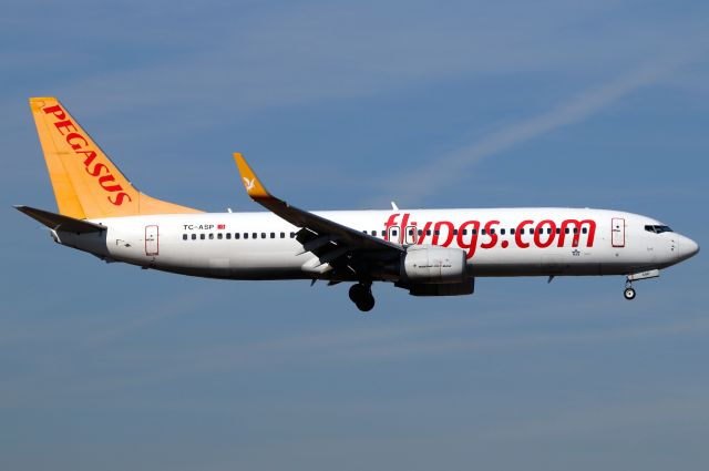 Boeing 737-800 (TC-ASP)