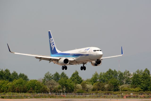 Boeing 737-700 (JA61AN) - NH/ANA