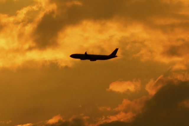 Airbus A330-300 (B-LBF)