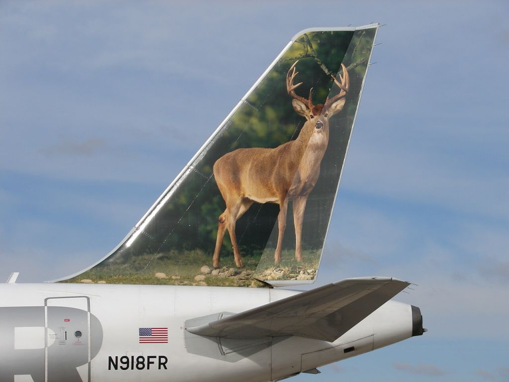 Airbus A319 (N918FR)