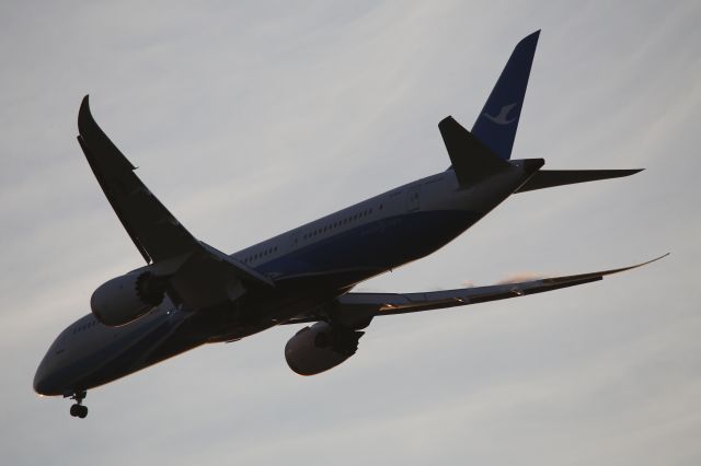Boeing 787-9 Dreamliner (B-1567)
