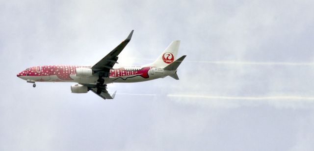 Boeing 737-800 (JA06RK)