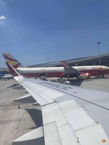 Airbus A330-300 (B-305W)