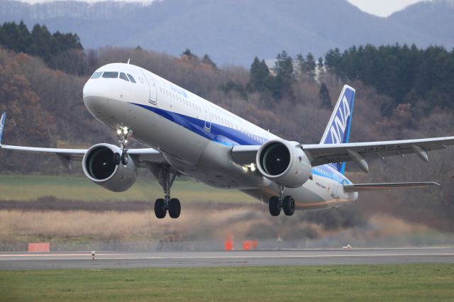 Airbus A321 (JA142A) - November 21st 2021:HKD-HND.