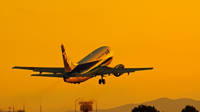 Boeing 737-500 (JA8196)