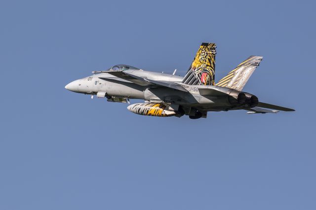 McDonnell Douglas FA-18 Hornet (J5011) - Swiss Air Forcebr /Boeing F/A-18 C (J-5011) at Meiringen Airbase