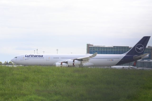 Airbus A340-300 (D-AIGM)