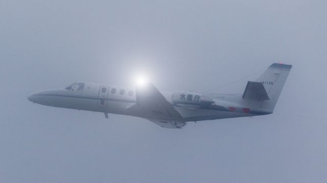 Cessna Citation V (JA119N) - 中日本航空 - Nakanihon Air Service / Cessna 560 Citation V/Ultra/Encorebr /Jul.16.2016 Kushiro Airport [KUH/RJCK] JAPAN