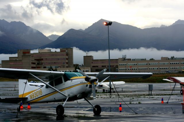 Cessna Skywagon (N93018)