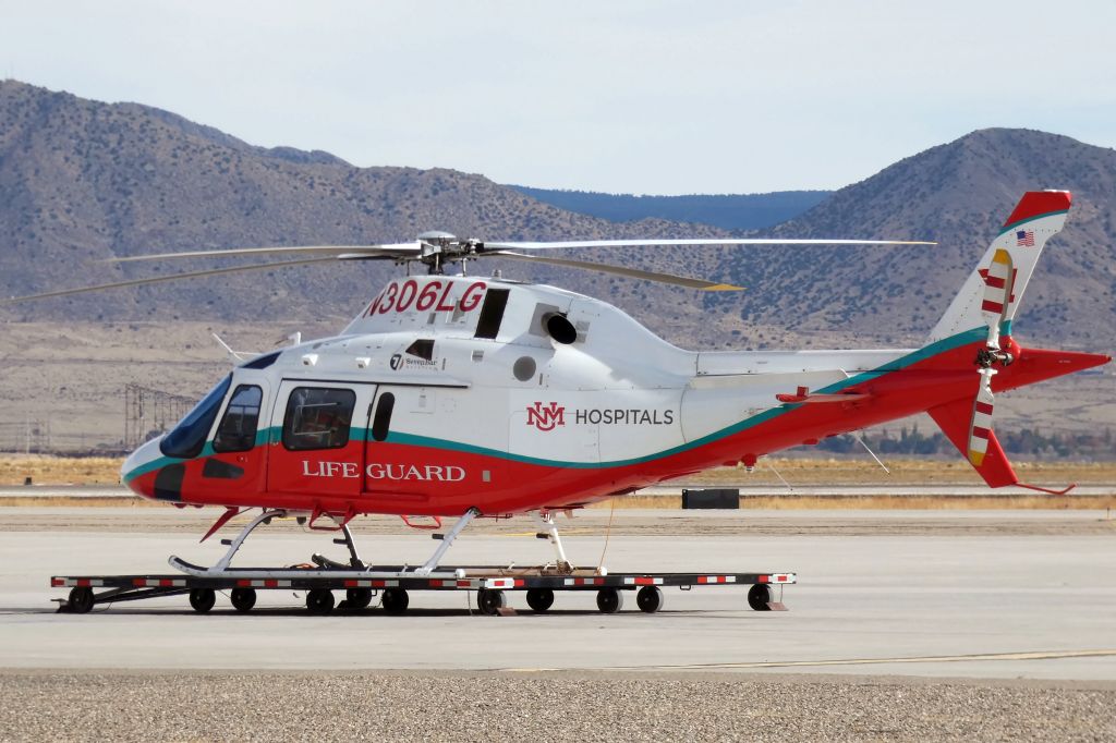 DENEL Koala (N306LG)