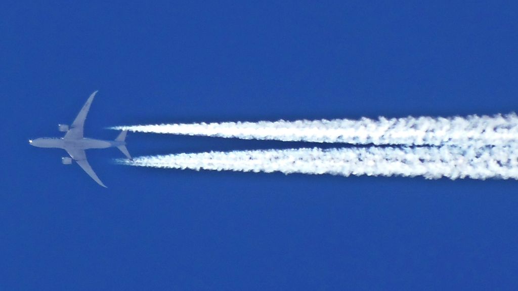 Boeing 787-8 (CC-BBG)