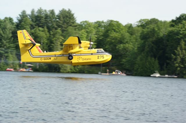 Canadair CL-41 Tutor (C-GOGW) - Crystal Lake, Ontario taken from our boat we had an awesome view as two SuperScoopers fought a nearby forest fire we could not see.