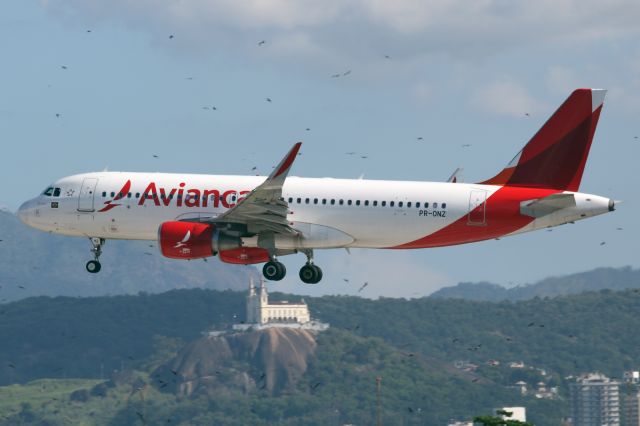 Airbus A320 (PR0NZ)