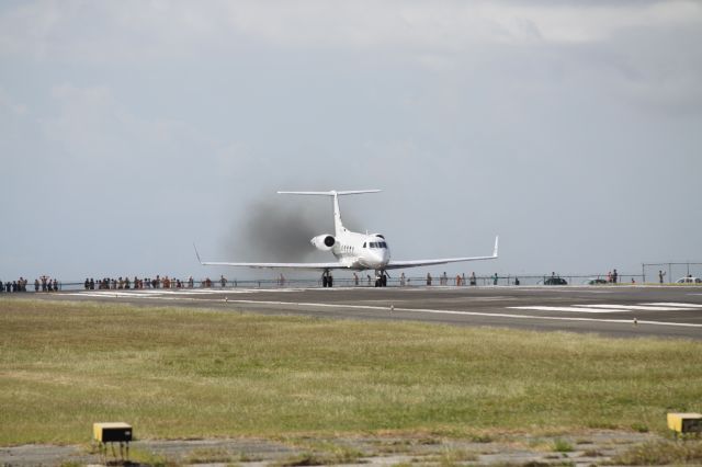 Gulfstream Aerospace Gulfstream 3 (N516TR)