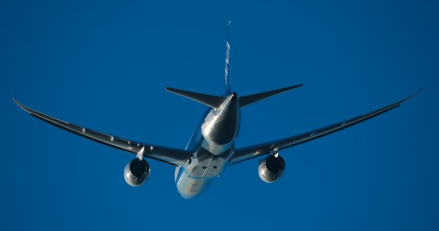 Boeing 787-8 (JA834A)
