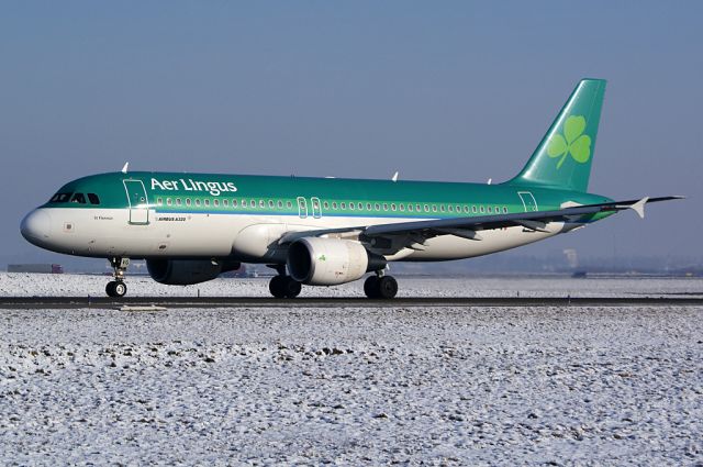 Airbus A320 (EI-DVG)