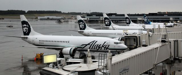 BOEING 737-400 (N762AS) - The morning 737 lineup at ANC.