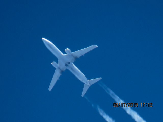 Boeing 737-800 (N825NN)