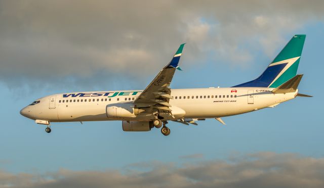 Boeing 737-800 (C-FRWA)