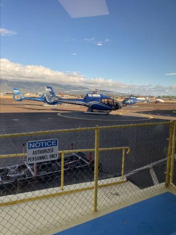 Eurocopter EC-130 (N11QL) - Flightradar24 for information 