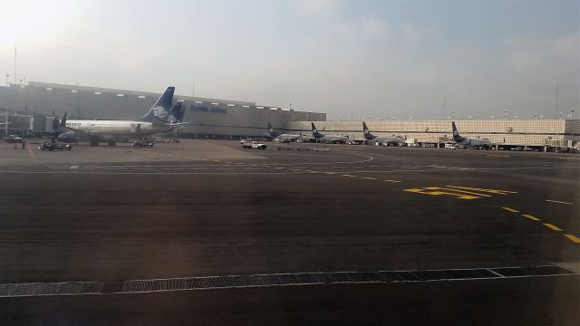 Boeing 737-800 — - Various Aeromexico Boeing 737 parked at Gates in Terminal 2 at MMMX