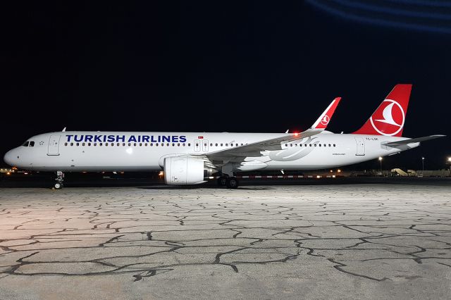 Airbus A321neo (TC-LSK)