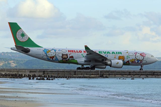 B-16311 — - "Hello Kitty" livery