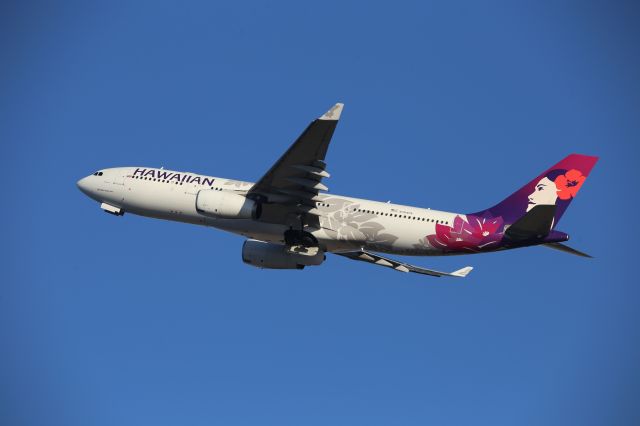 Airbus A330-200 (N384HA)