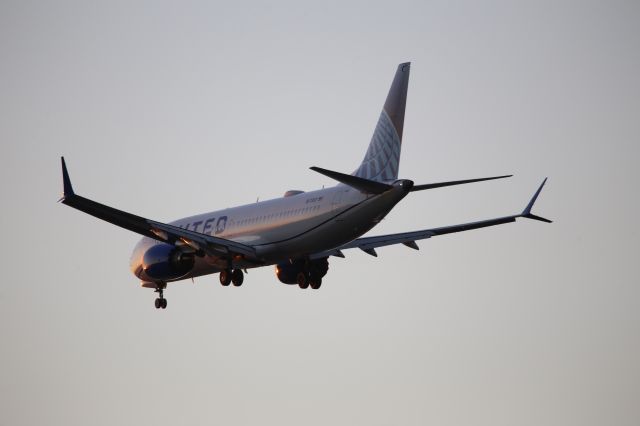 Boeing 737 MAX 8 (N17303)