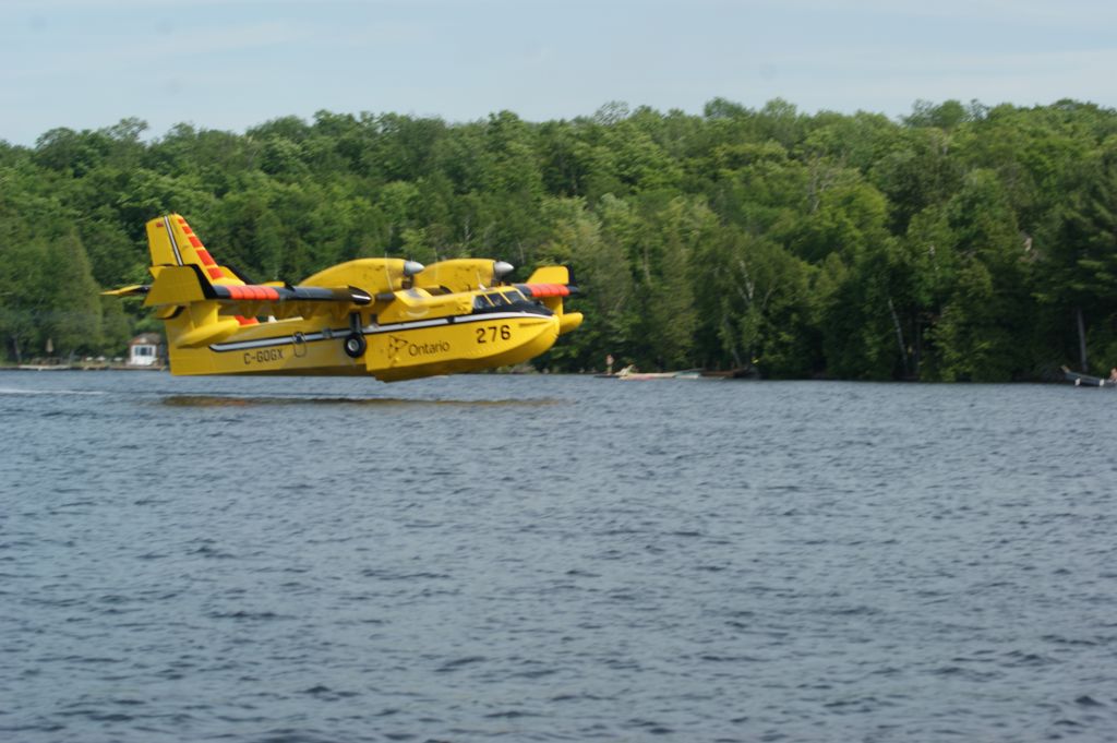 Canadair CL-41 Tutor (C-GOGX) - Crystal Lake, Ontario taken from our boat we had an awesome view as two SuperScoopers fought a nearby forest fire we could not see.