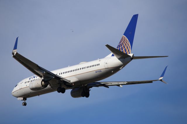 Boeing 737-800 (N77535)
