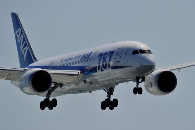 Boeing 787-8 (JA811A)