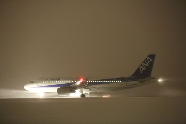 Airbus A320 (JA8300) - 08 January 2016:HKD-HND.