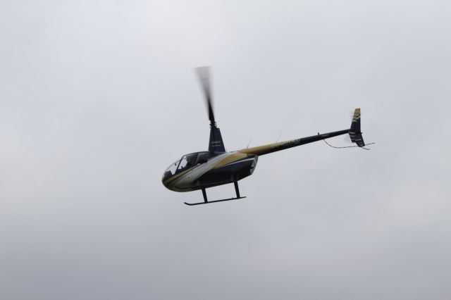 Robinson R-44 (PP-WFM)