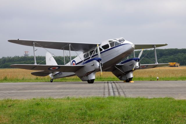 De Havilland Dragon Rapide —