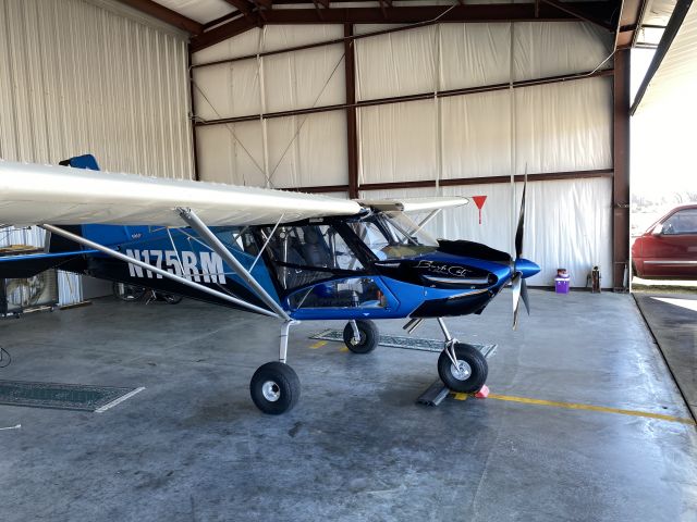 RAINBOW SKYREACH BushCat (N175RM)