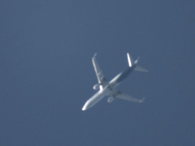 Boeing 737-900 (N296AK) - ASA19br /05/13/21
