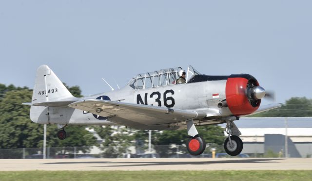 North American T-6 Texan (N36) - Airventure 2017