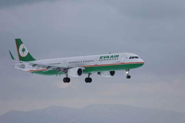 Airbus A321 (B-16219) - 01 January 2015:TPE-HKD.