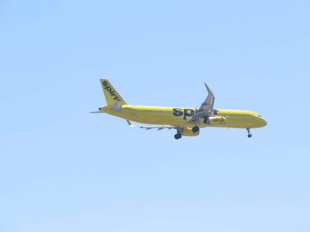 Airbus A321 (N667NK) - Landing in San Diego via Balboa Park. Spirits livery suggests calling this jet "Banana Bus".