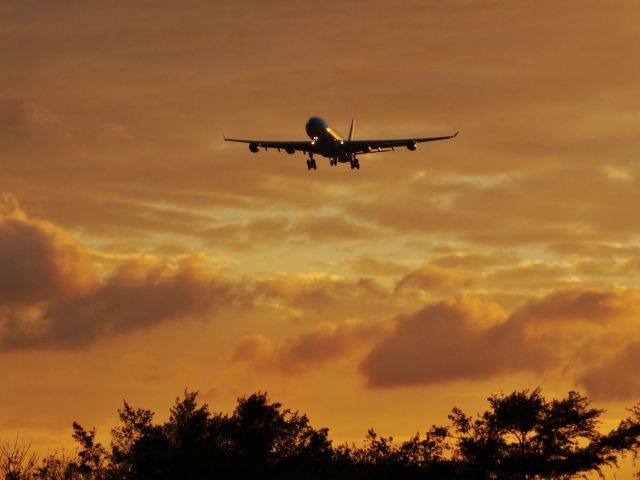 Airbus A340-300 (B-HXH)