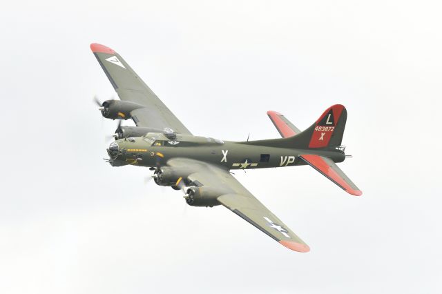 4483872 — - Boeing B-17 Flying Fortress, The Commemorative Air Force’s Gulf Coast Wing "Texas Raiders" group maintains and flies the aircraft.