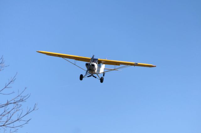 N666WR — - Piper L-21 Super Cub