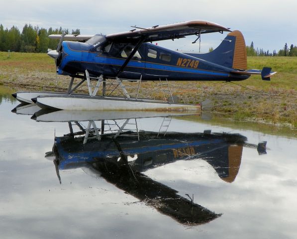 De Havilland Canada DHC-2 Mk1 Beaver — - Great paint on her.