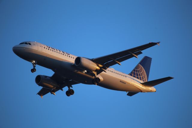 Airbus A320 (N436UA)