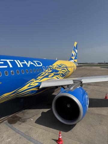 Airbus A320 (A6-EJB) - Etihad Airways with CSK Livery