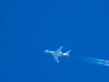 N481SC thumbnail