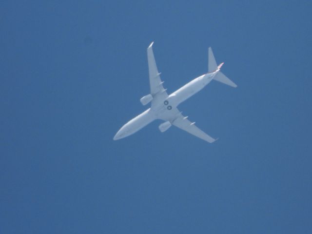 Boeing 737-800 (N846NN) - AAL9780br /TUL-TULbr /08/03/22