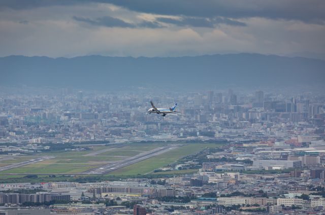 Boeing 787-8 (JA816A)